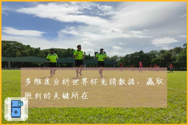 多维度分析世界杯竞猜数据，赢取胜利的关键所在