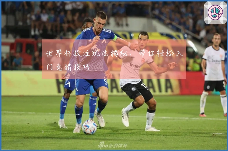 世界杯投注玩法揭秘，带你轻松入门竞猜技巧