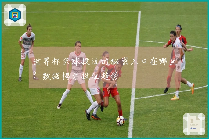 世界杯买球投注的秘密入口在哪里？数据揭示投注趋势